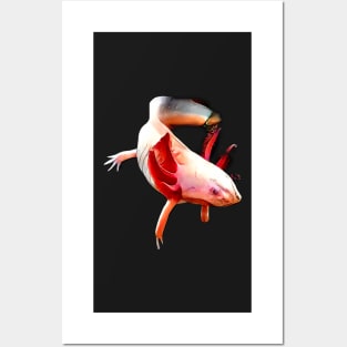 Realistic axolotl as motif Posters and Art